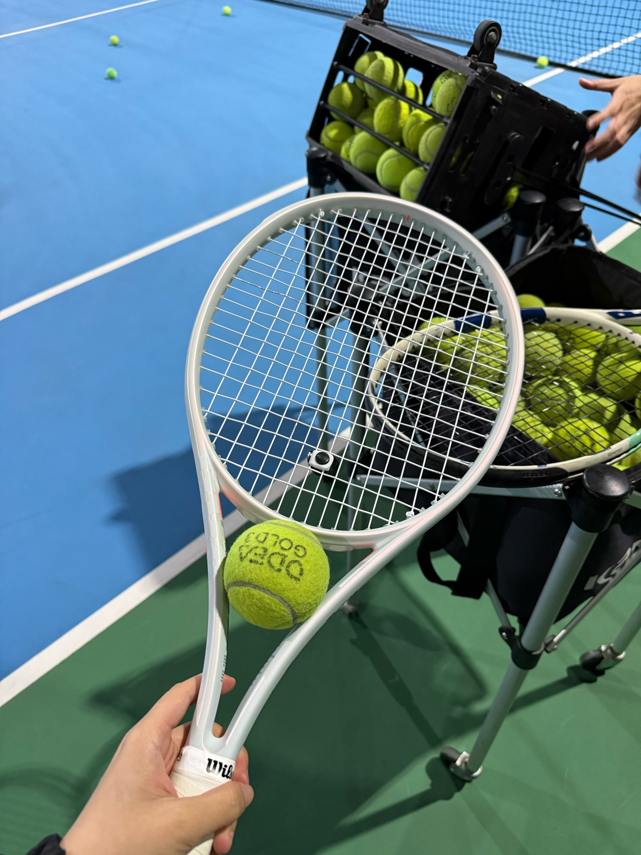 在历史上 在历史上