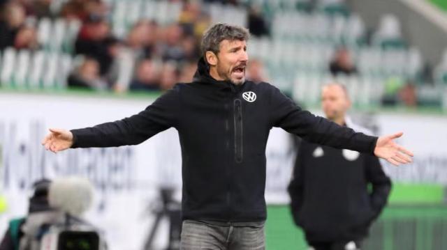 他钟爱的牛 他钟爱的牛