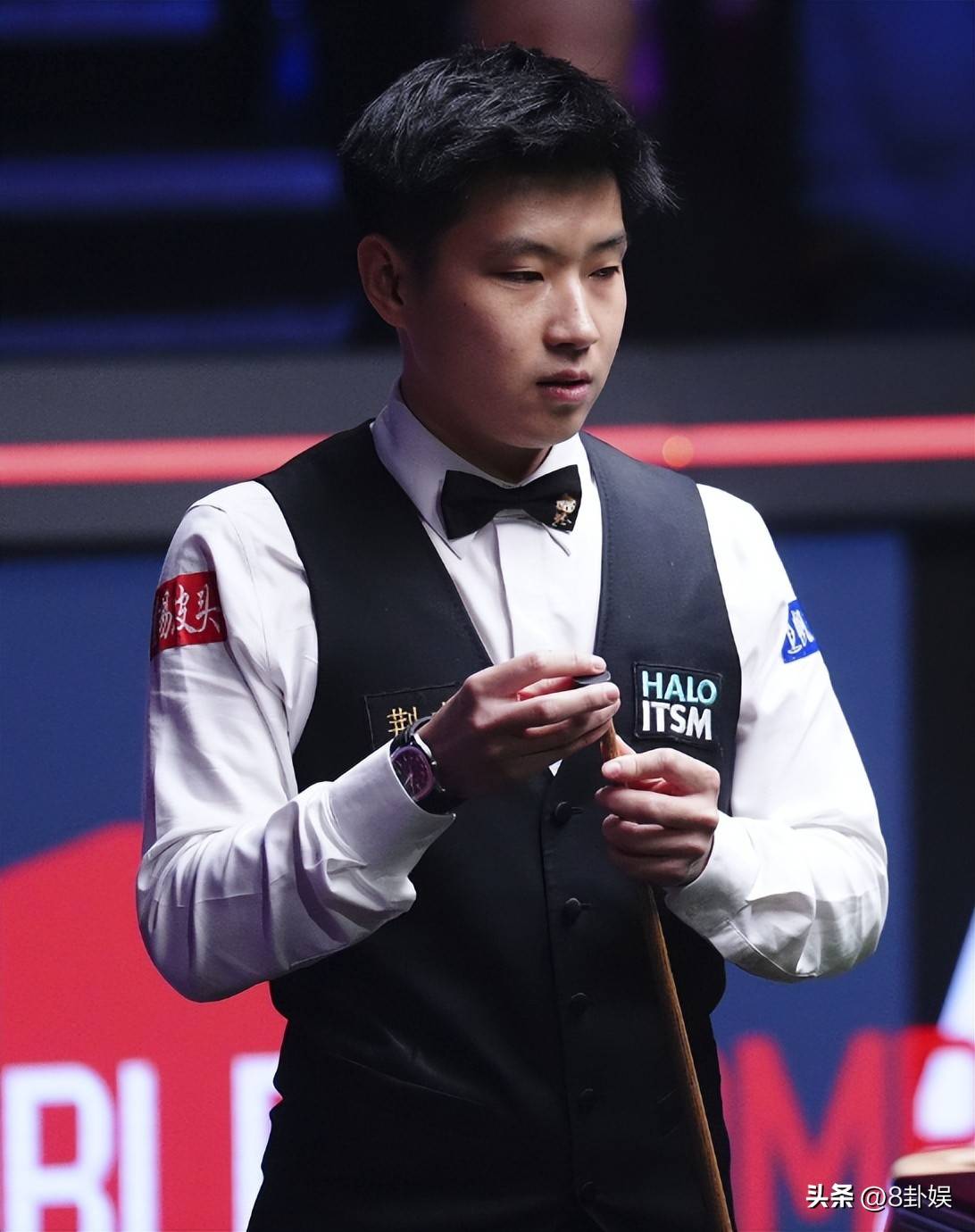 聚的载体 聚的载体